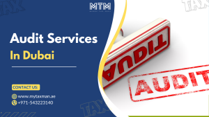 Audit Services In Dubai