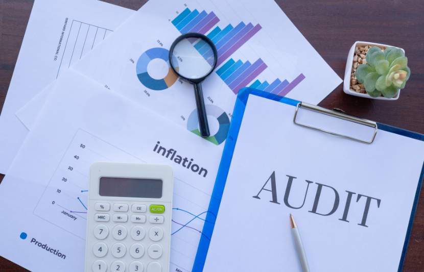 VAT Audit