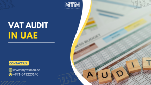 VAT Audit
