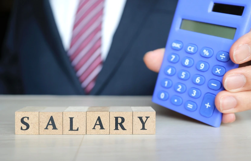 Salary Paycheck Calculator My Taxman