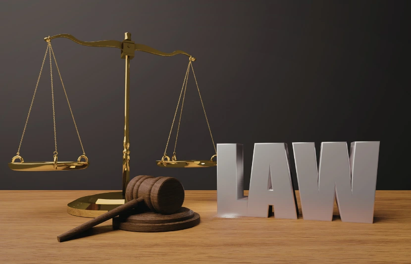 UAE New VAT Procedures Law My Taxman