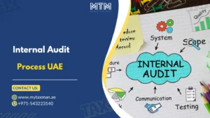 Internal Audit Process